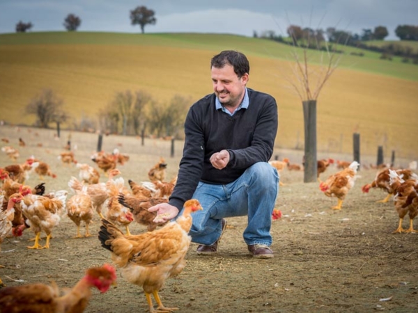 Les résolutions 2020 des Poulets fermiers du Gers !