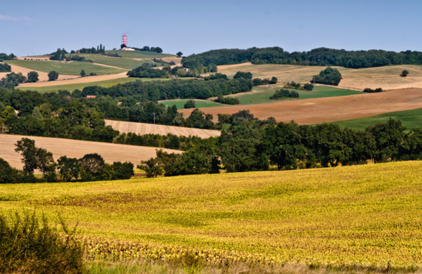 Production de volailles dans le Gers