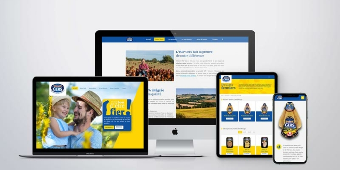 La communication Poulet du Gers : le site internet